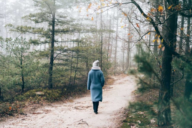 Wandelen op de Sallandse Heuvelrug, tips voor de mooiste wandelingen