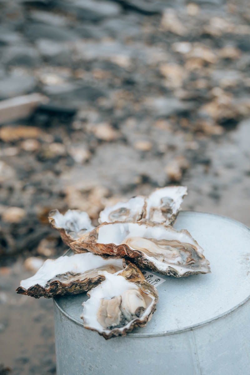 wat te doen op texel 9 originele ideeën en tips reisplaatje