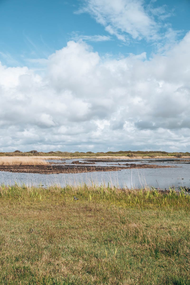 Zwanenwater in Callantsoog dit zijn de mooiste wandelroutes Reisplaatje Zwanenwater in Callantsoog dit zijn de mooiste wandelroutes Reisplaatje