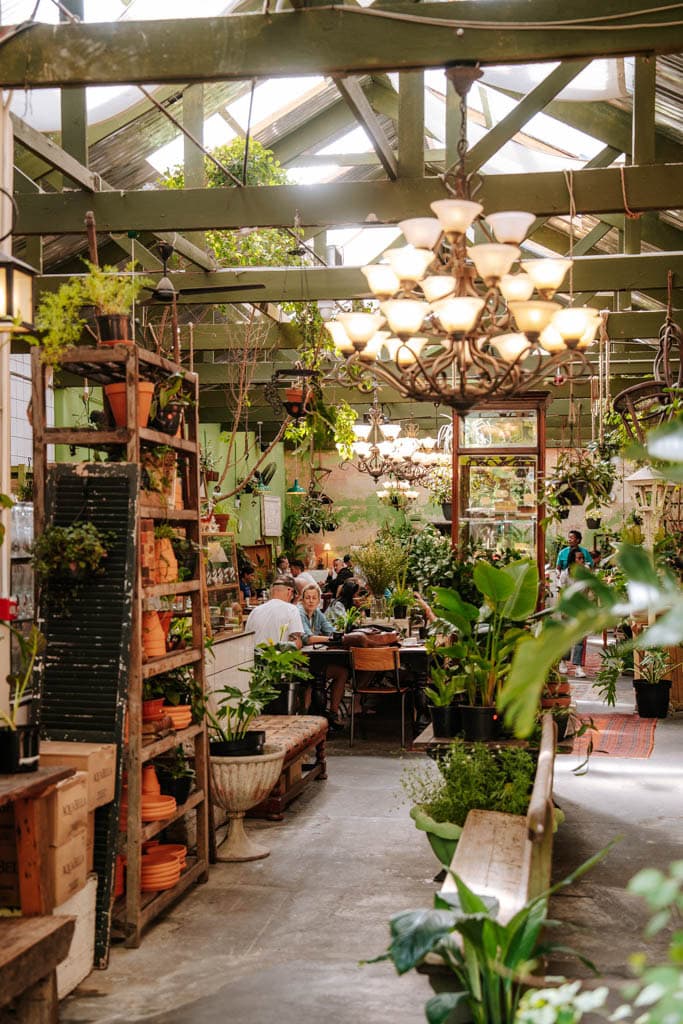 Tip om te ontbijten en lunchen in Kaapstad: Our Local