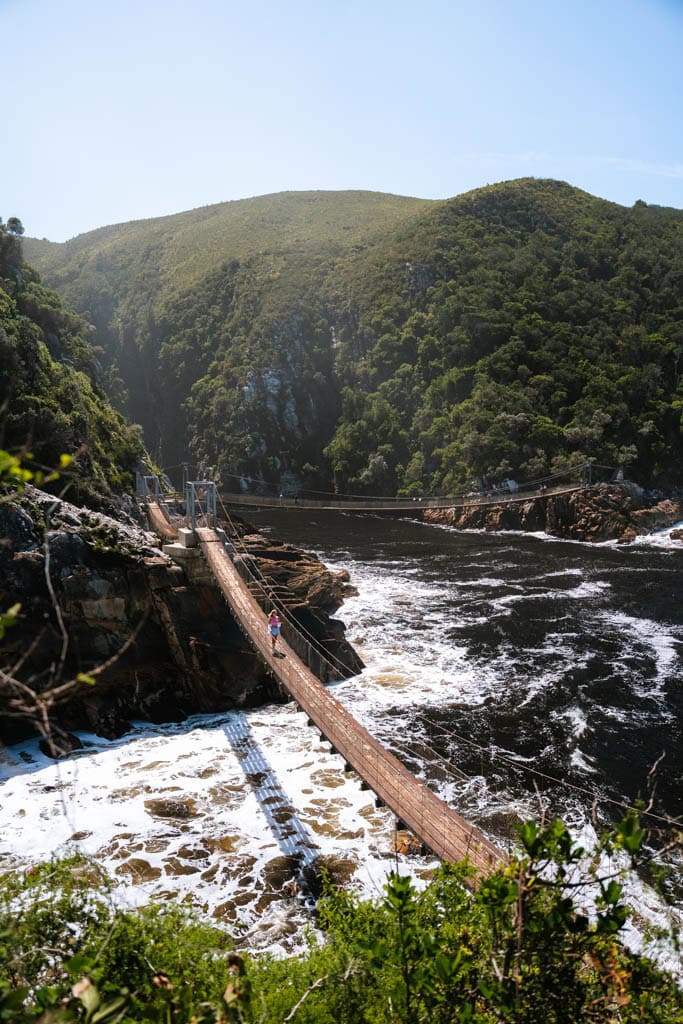 Tsitsikamma National Park bezoeken tijdens route Kaapstad