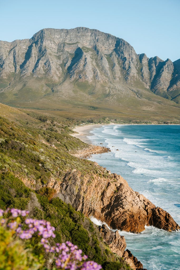 Tips reisroute Zuid-Afrika 2 weken