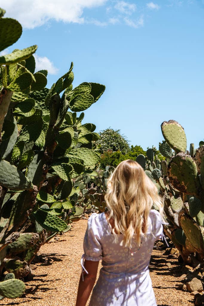 Tip voor wijnproeverij in Stellenbosch