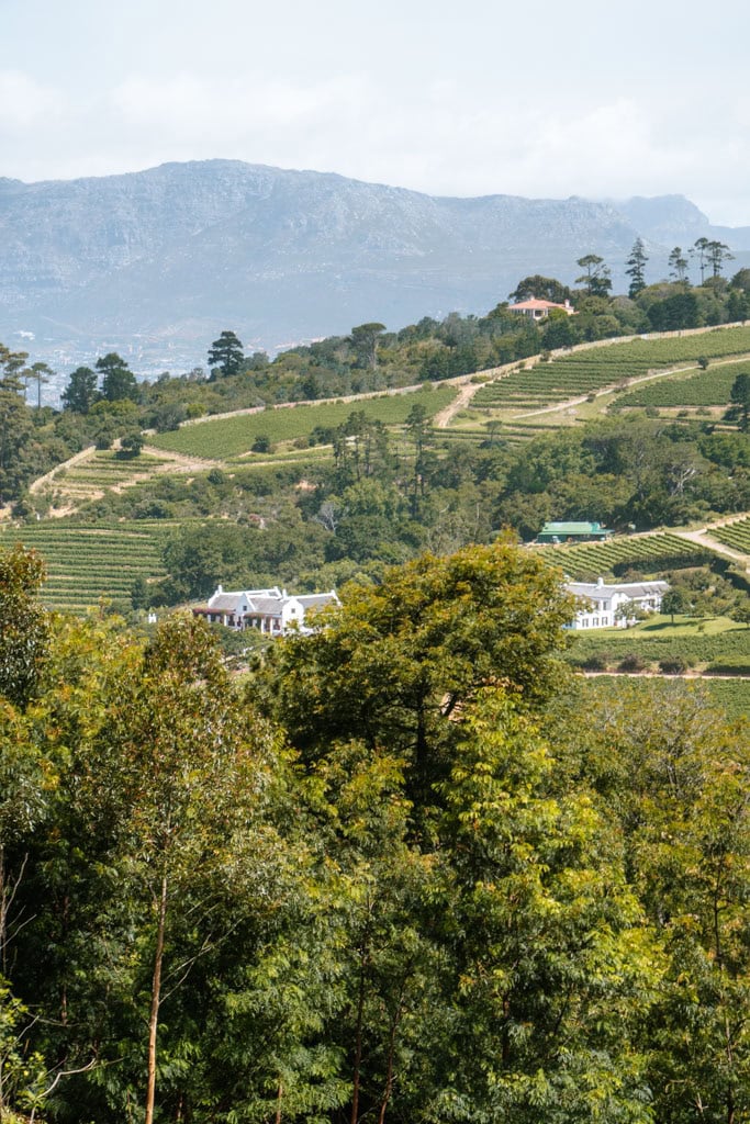 Tips voor wine estates in Kaapstad en omgeving