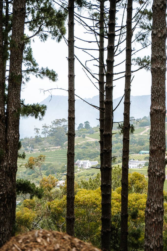 Hike van Constantia Nek naar Kirstenbosch Gardens