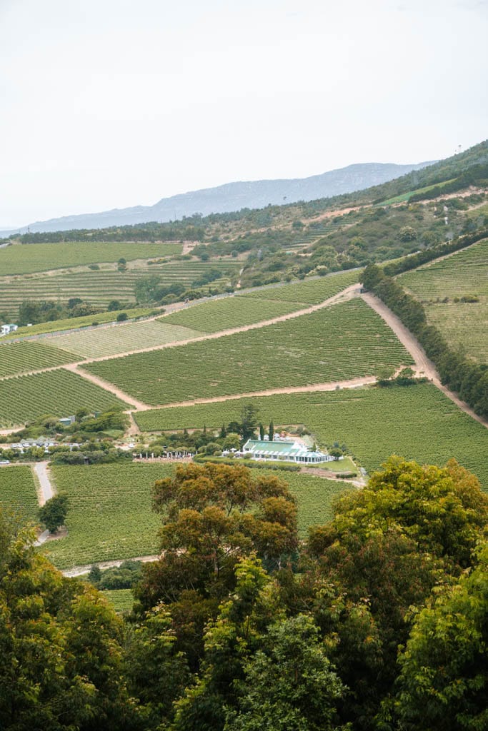 Tips voor leuke hikes in Kaapstad en omgeving