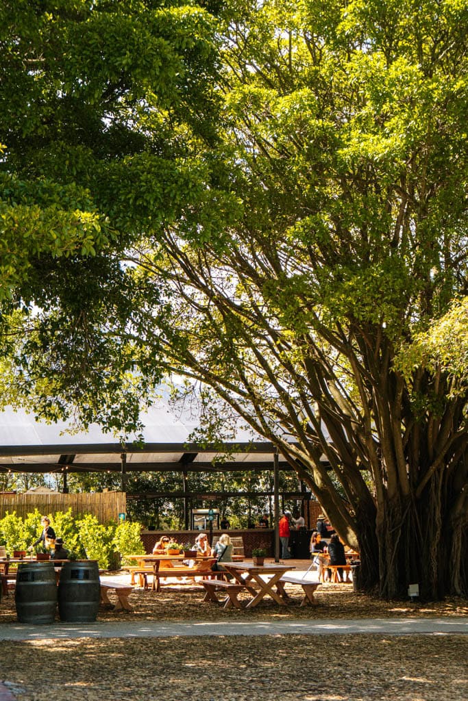 Wijnproeverij in Kaapstad