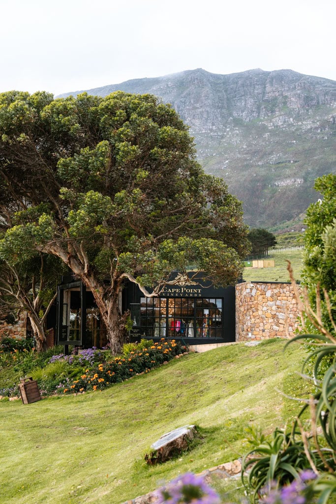 Wine Estates in Kaapstad en omgeving