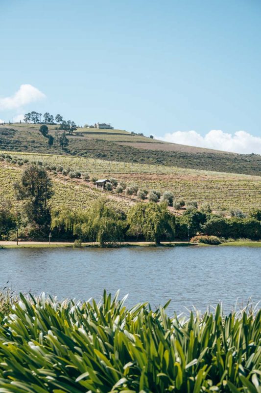 Waar je het beste wijn kunt drinken in Kaapstad? Jordan Winery