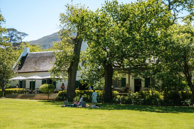 Wine estates in Kaapstad: Stellenbosch, Franschhoek en Constantia