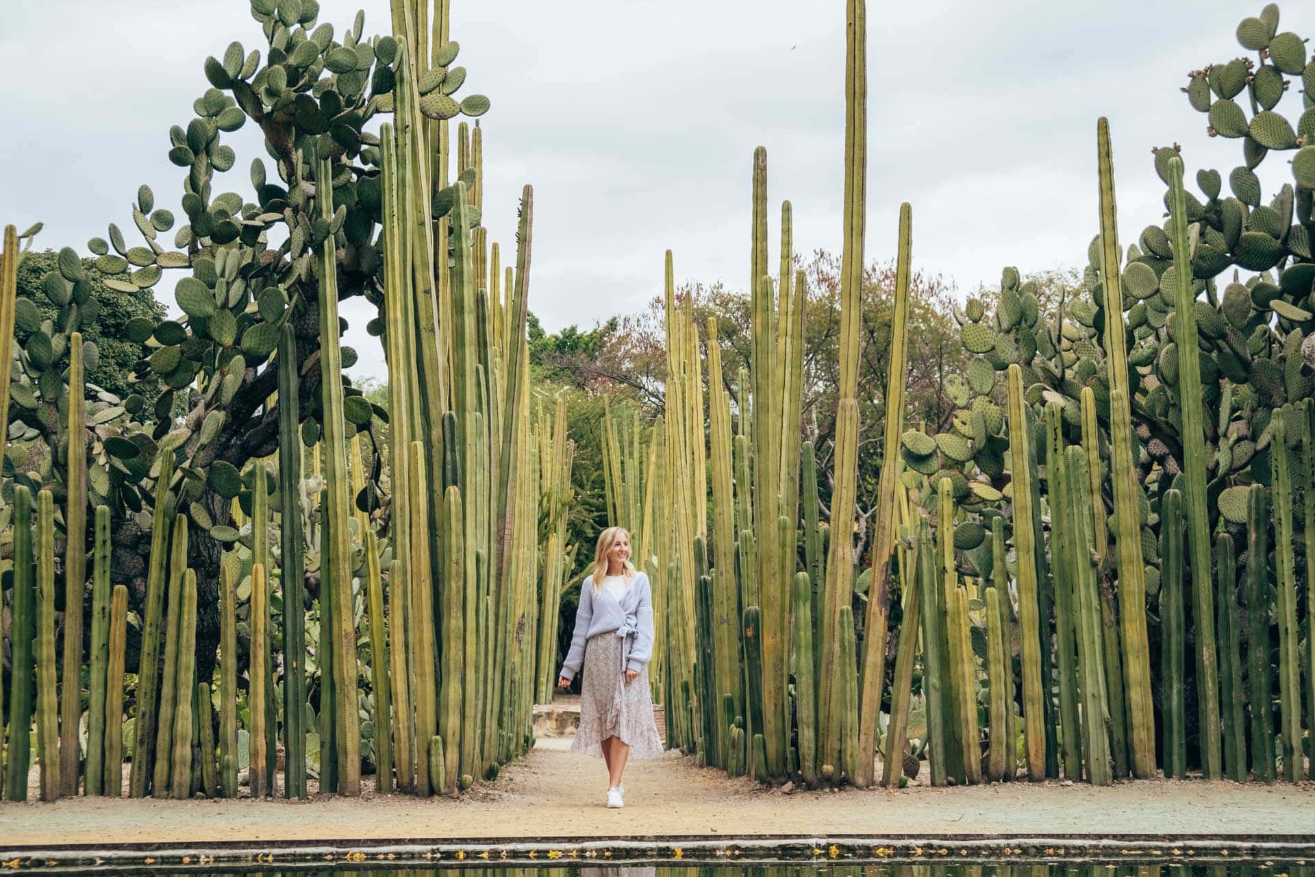 Wat te doen in Oaxaca in Mexico: tips en bezienswaardigheden