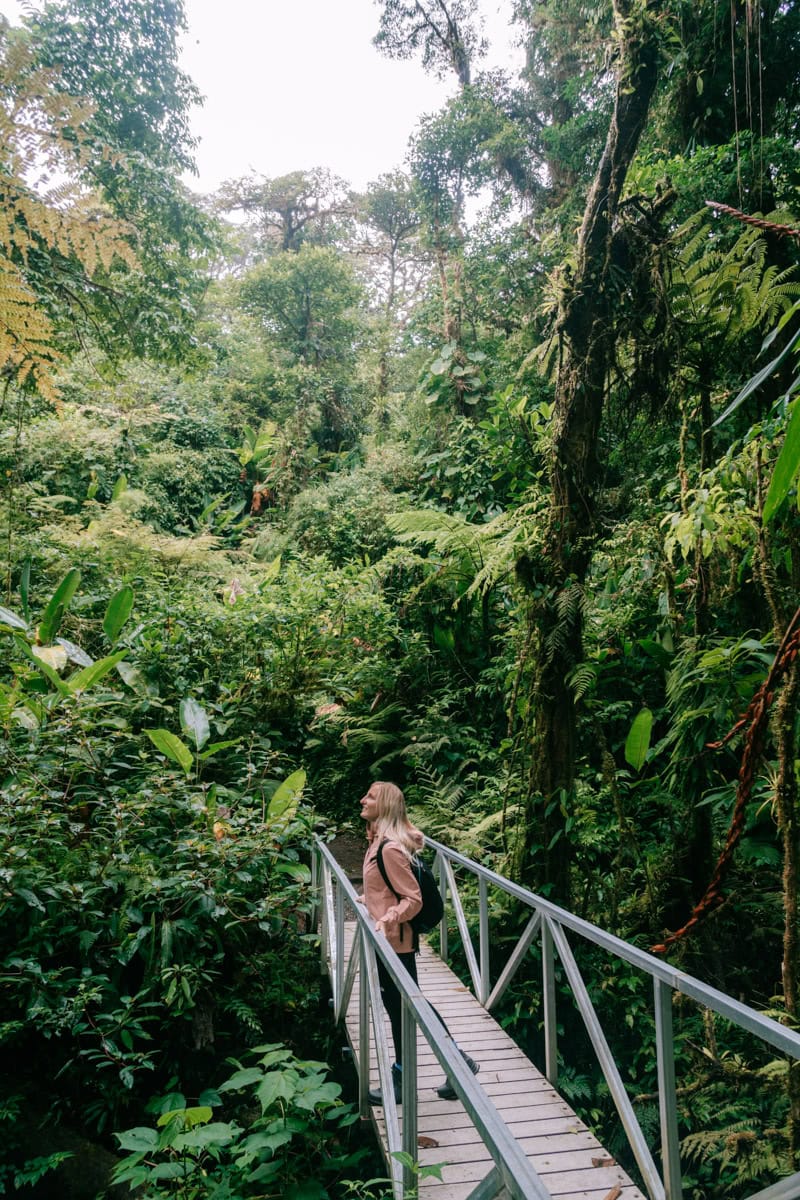 7 toffe tips voor Monteverde en Santa Elena in Costa Rica Reisplaatje