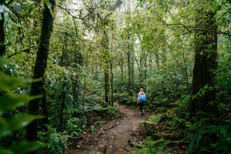 Tips voor Monteverde en Santa Elena in Costa Rica