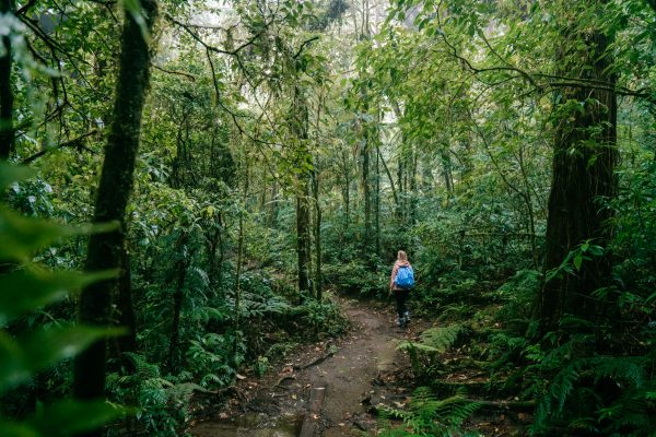 Tips voor Monteverde en Santa Elena in Costa Rica