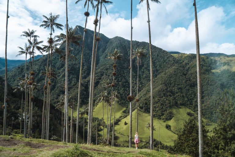 Reisroute Colombia voor 3 tot 4 weken | veilige route langs bezienswaardigheden | waar verblijven