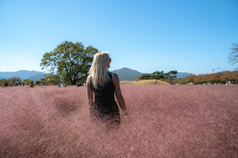 Tips voor Gyeongju in Zuid-Korea