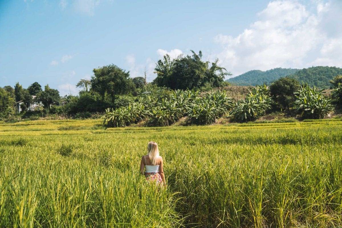 Tips voor Pai in Thailand | wat te doen | bezienswaardigheden | overnachten