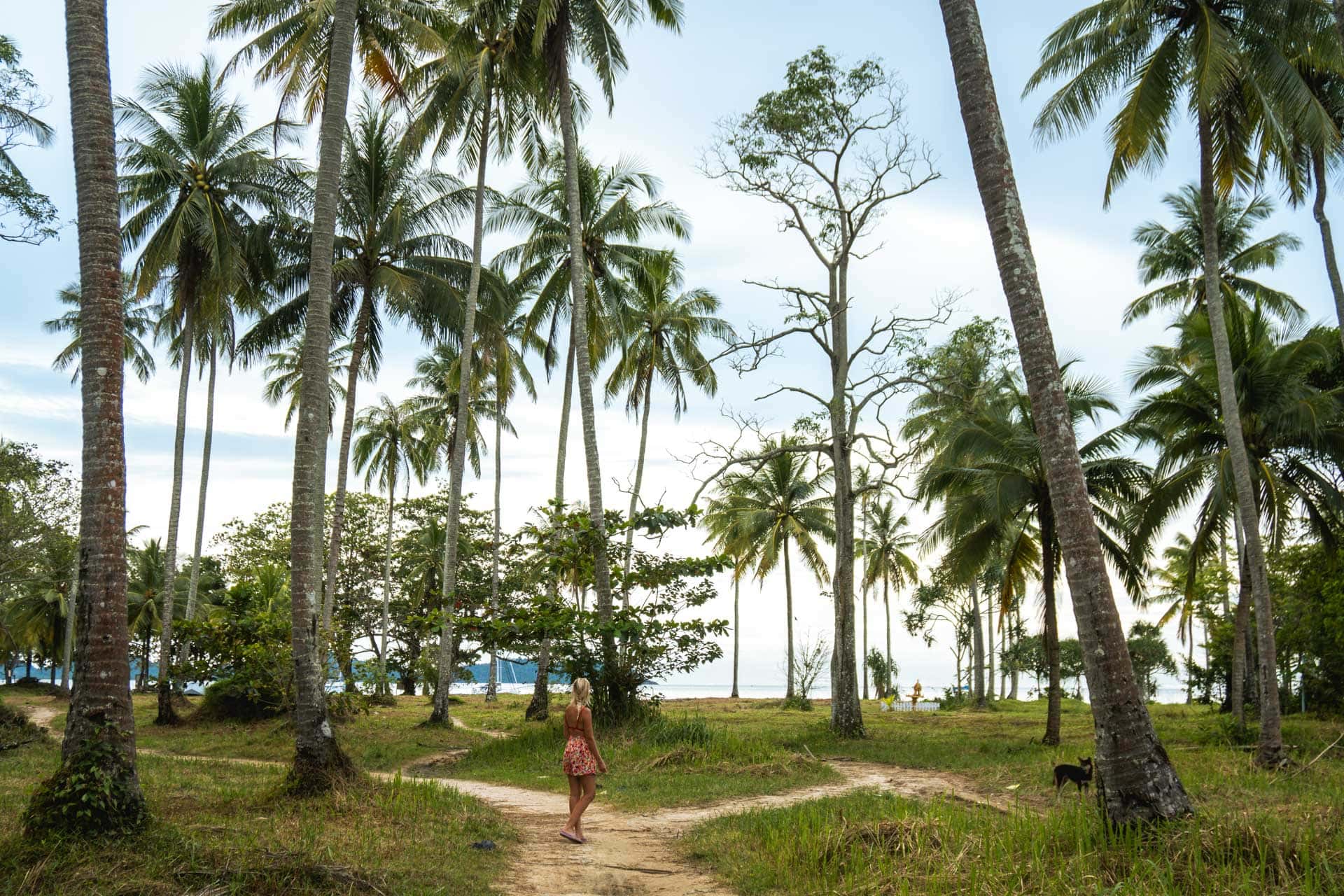 Tips voor Koh Mook in Thailand - wat te doen en waar verblijven