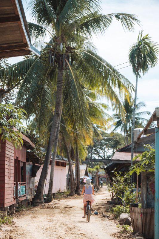Tips voor Don Det in Laos - Wat te doen op de 4000 Islands