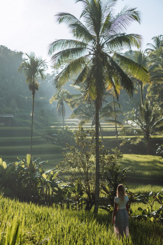 Te doen in Ubud: bezoek de Tegalalang Rice Terracce