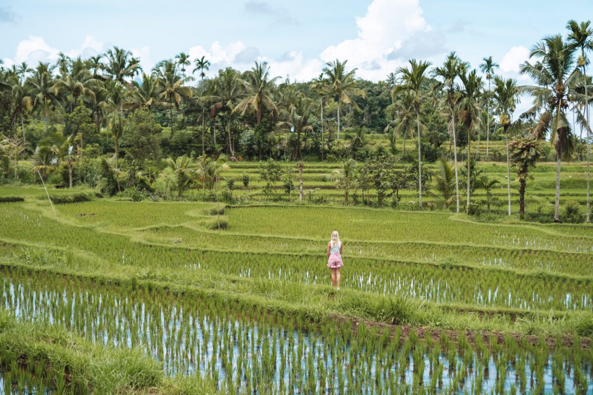 Tips voor Kuta in Lombok - wat te doen en mooiste plekken