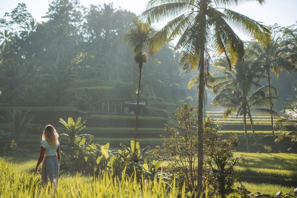 Wat te doen in Ubud op Bali: tips en bezienswaardigheden