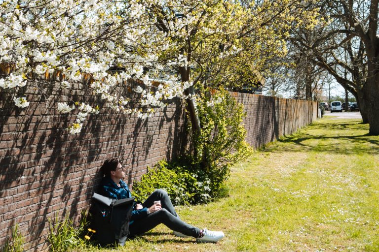 Tips voor fietstochten Betuwe