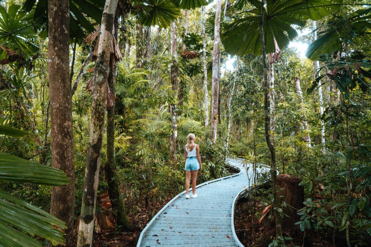 Cape Tribulation in Australië bezoeken: tips, wandelroutes en wat te doen