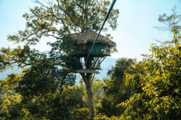 Gibbon Experience in Laos ervaringen en tips