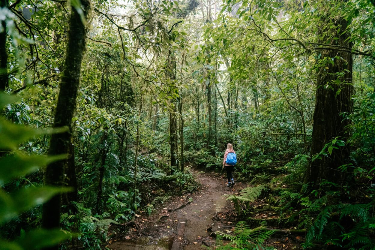 Route Costa Rica dit is de ideale reisroute in 2 tot 3 weken Reisplaatje