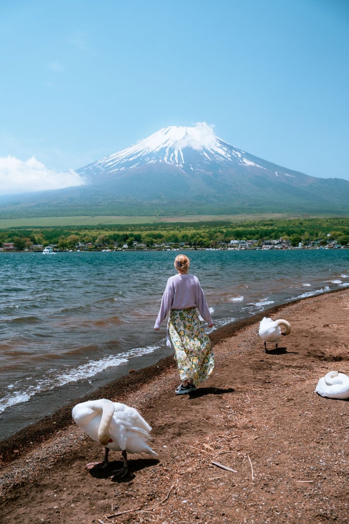 Japan E-book met reistips om reis zelf te plannen