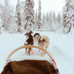 Reizen naar Lapland tips