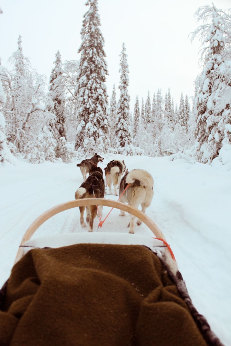 Reizen naar Lapland tips