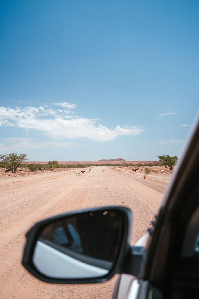 Namibie met 4x4 en daktent 