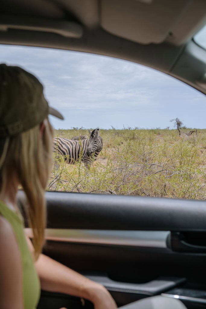 Etosha NP bezoeken 