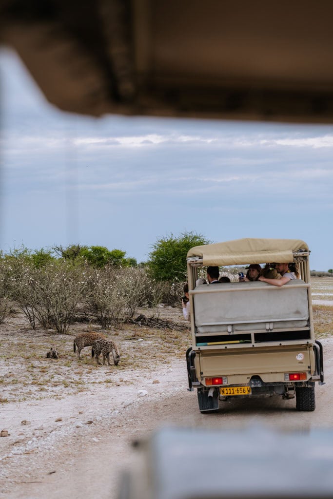 Gamedrive Etosha National Park boeken