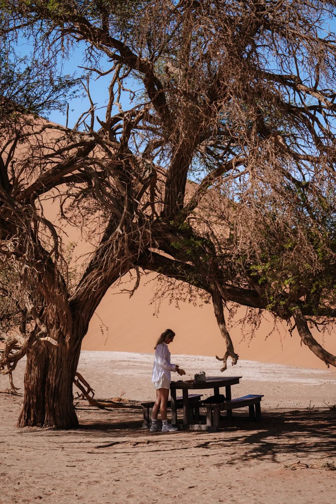 Tips Sossusvlei: picknicken bij Dune 40 