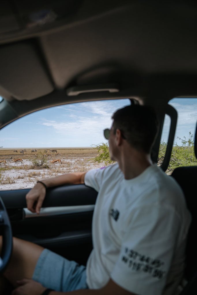 Zelf rijden Etosha National Park Namibië