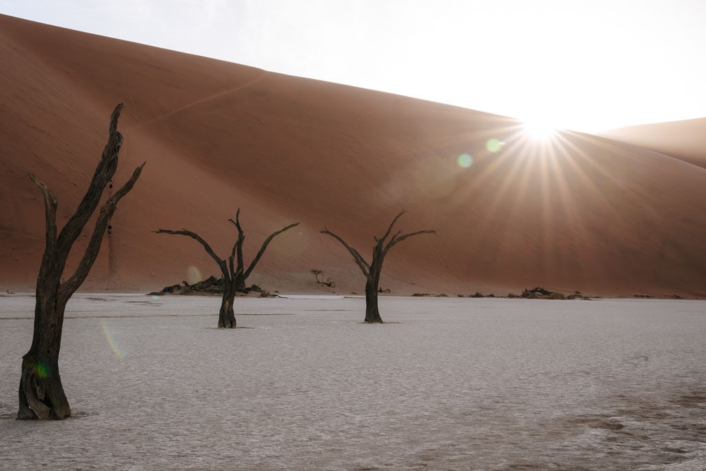 Tips voor de Sossusvlei in Namibie 