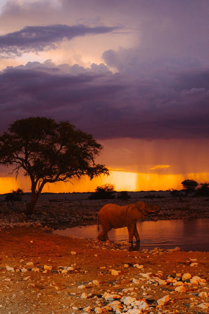 Tips waar verblijven Etosha NP 