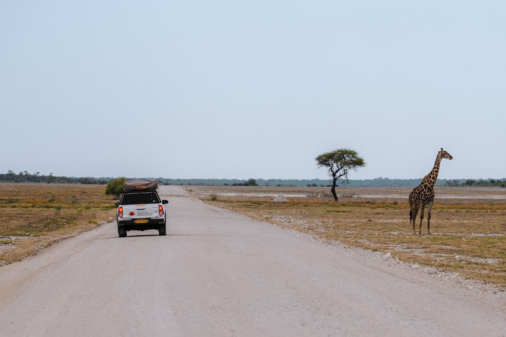 Tips vervoer Etosha National Park Namibië