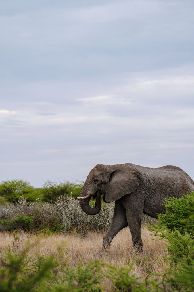 Tips Route Namibie