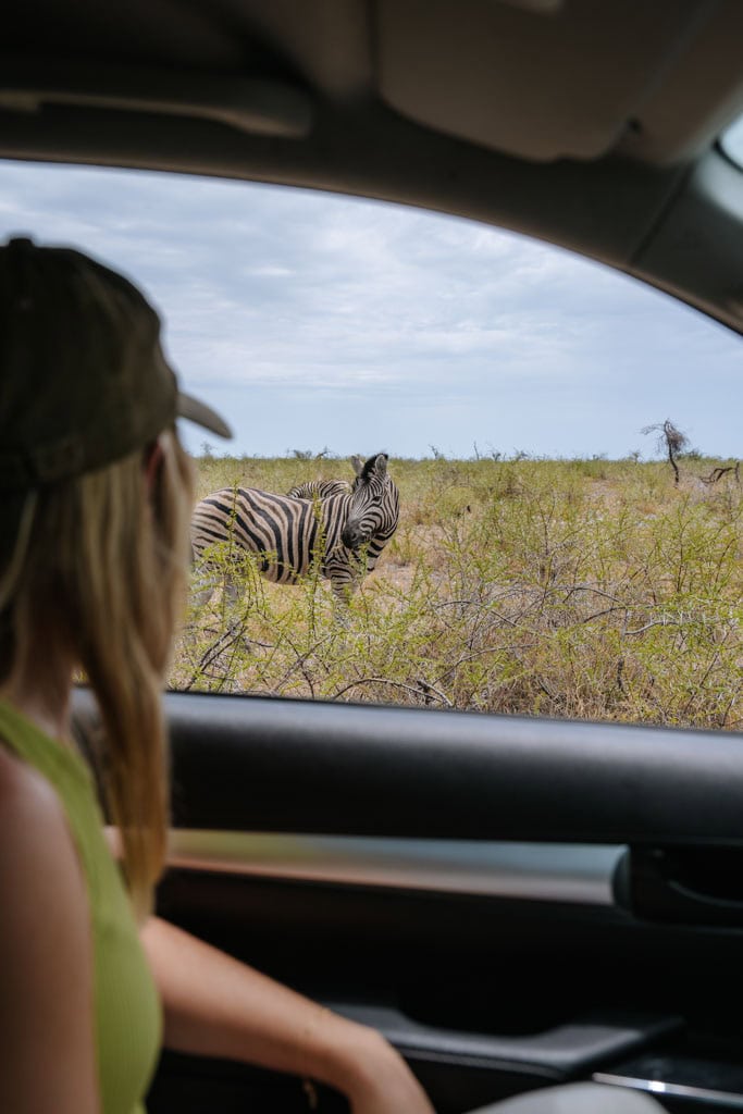 Etosha National Park Route Namibie