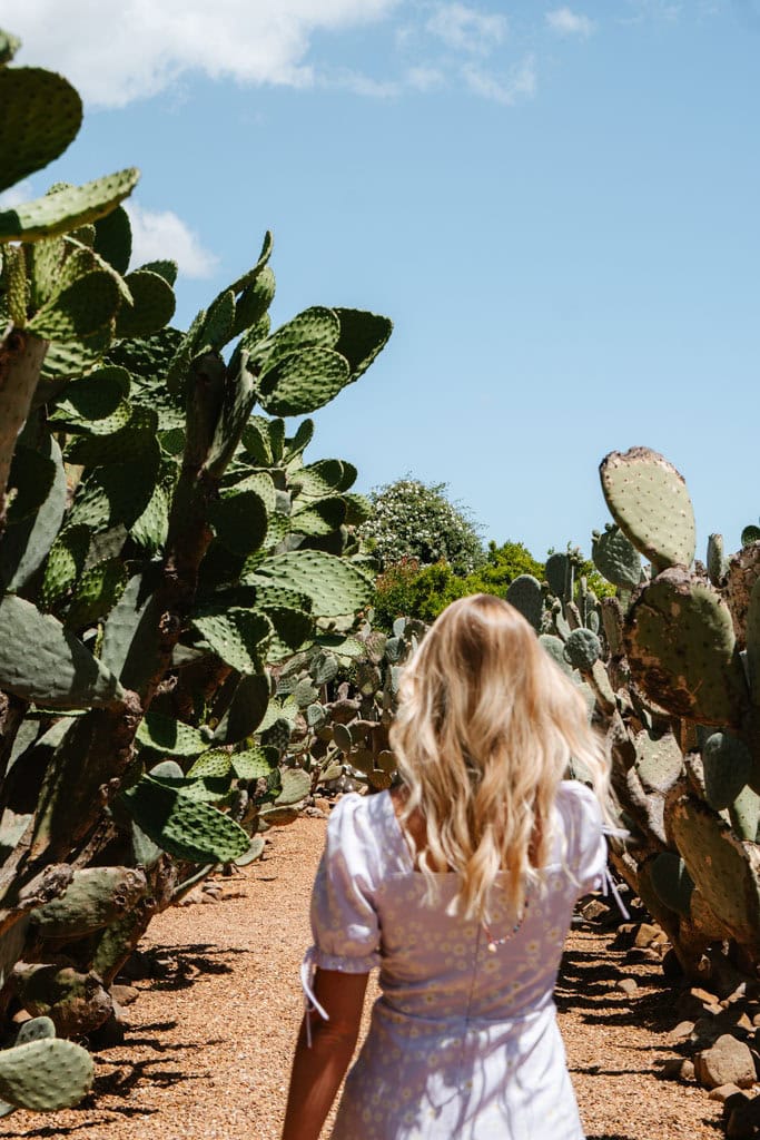 Babylonstoren bezoeken in Franschhoek