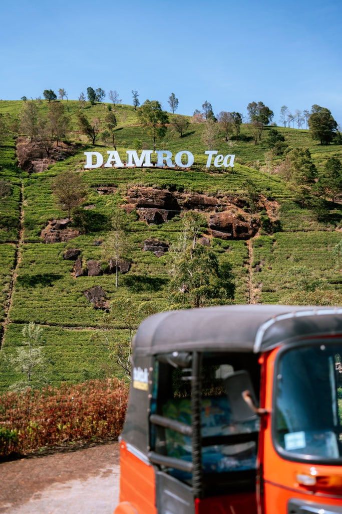 Damro Tea Factory bezoeken in Nuwara Eliya 