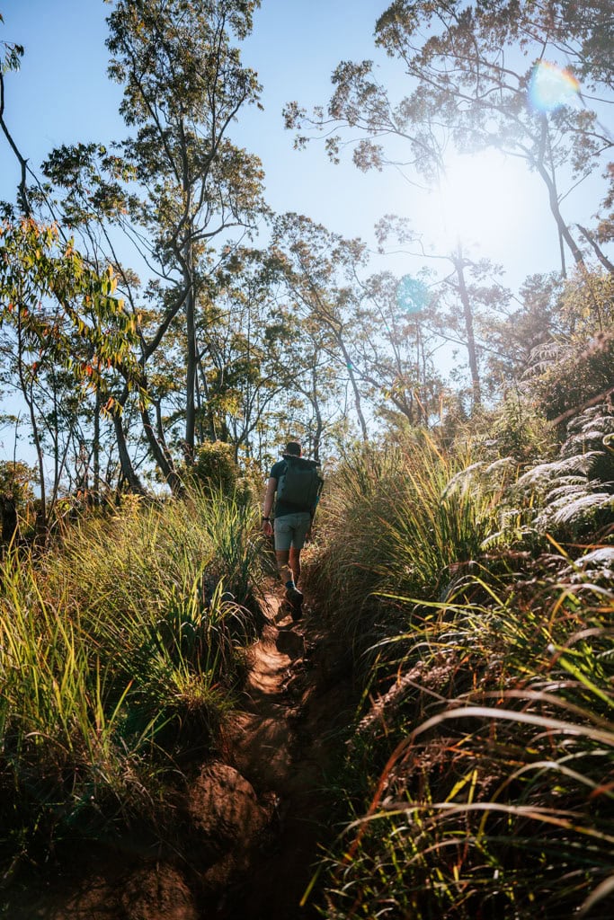 Praktische tips Ella Rock hike 