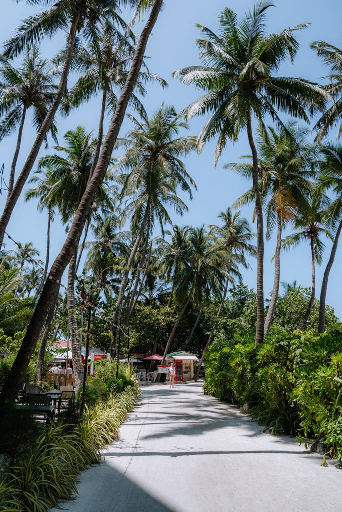 Tips voor Maafushi op de Malediven