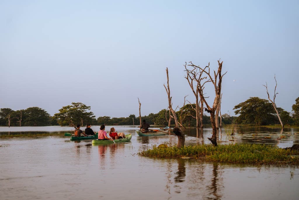 Kingdom Ecolodge is het bezoeken waard 