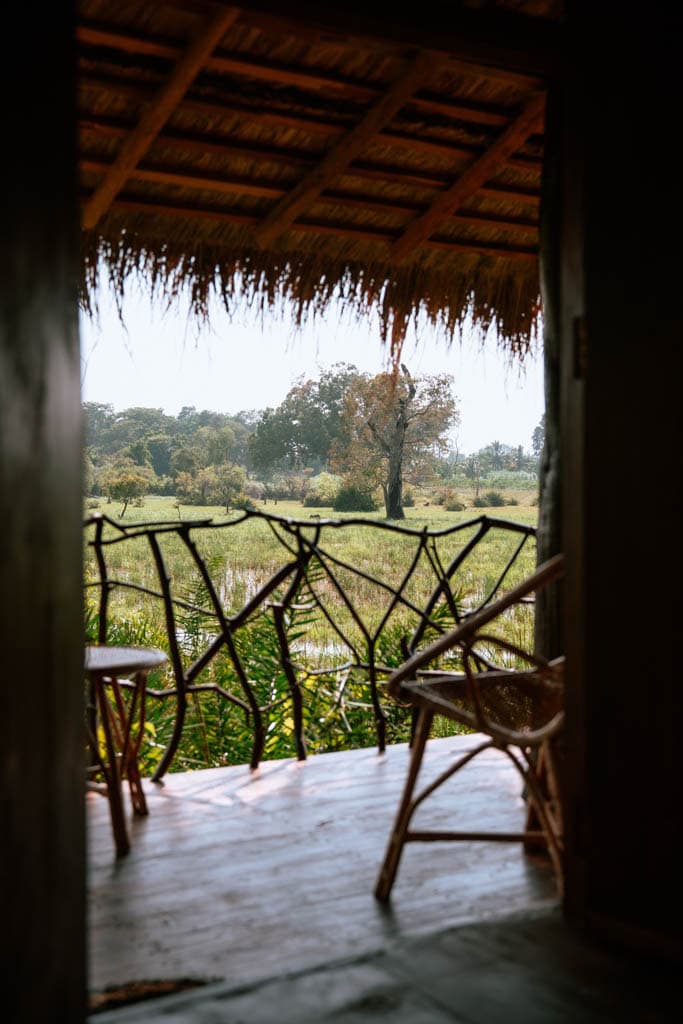 Overnachten in een boomhut bij de Kingdom Ecolodge