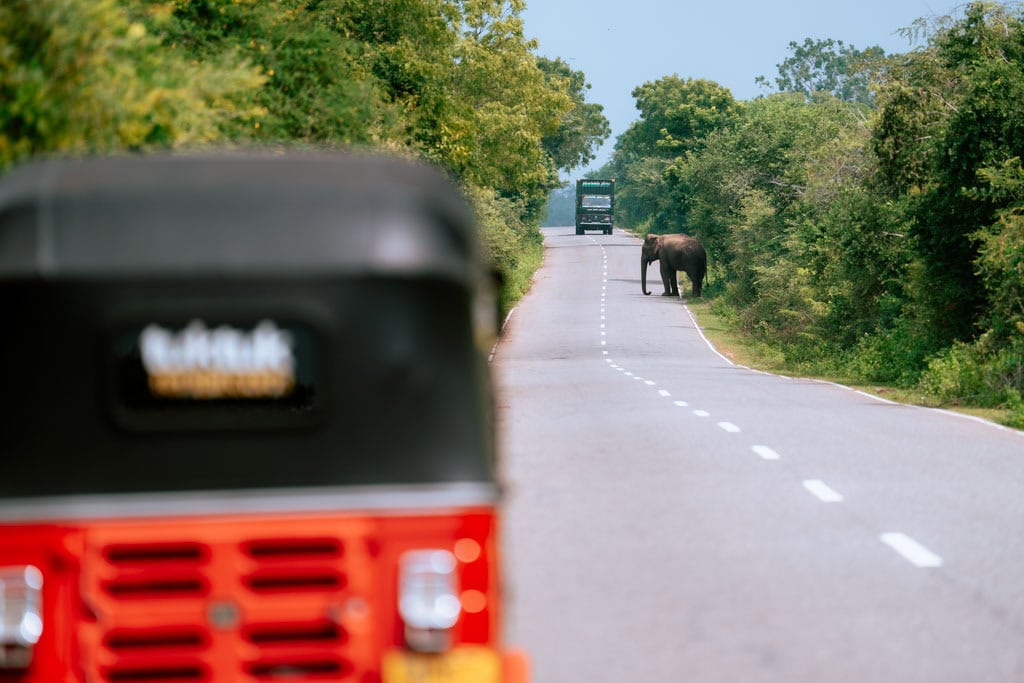 Praktische tips tuktuk huren Sri Lanka 